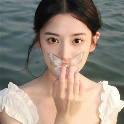 山菊花