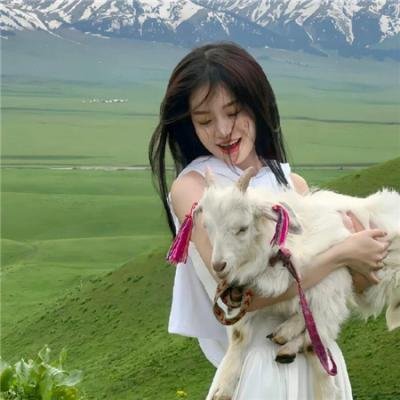 我们的费尔斯特先生去世了